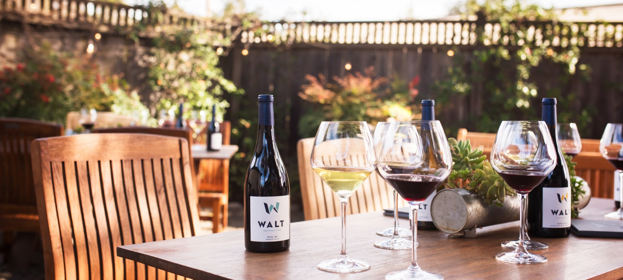 Walt Wines on outdoor table next to glasses of wine.