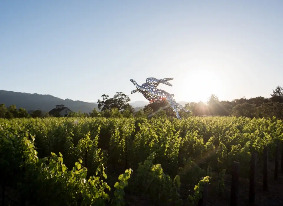 hall wines collection